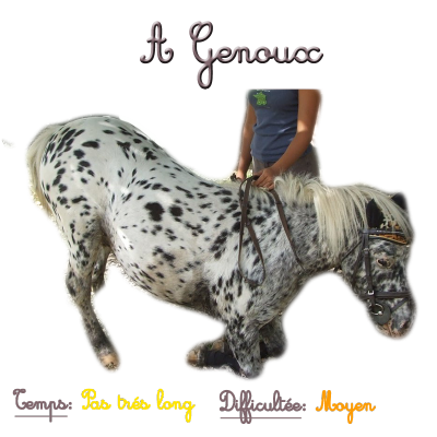 A genoux 1