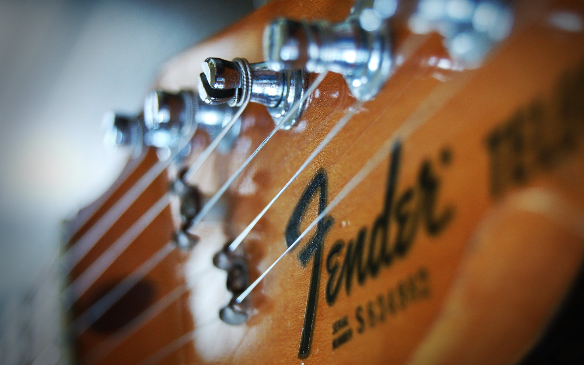 Fender